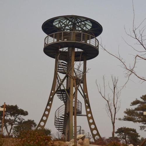 观光塔亦兼具有传送无线电信号,包括电视及电台等讯号的作用